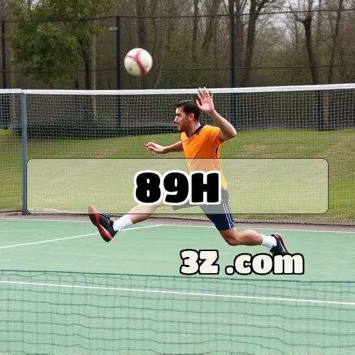 89h.com : Competição